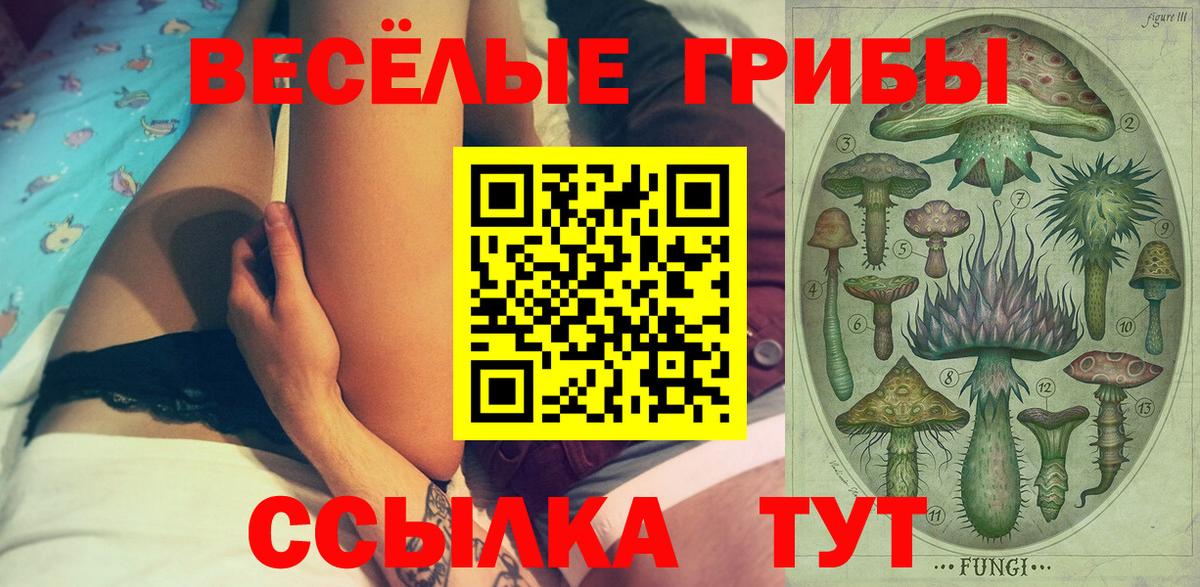 Псилоцибиновые грибы GOLDEN TEACHER Топки