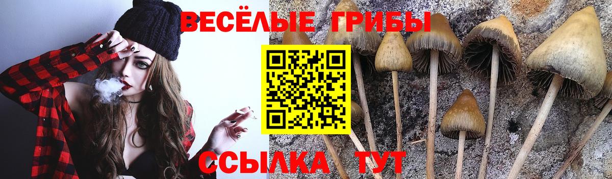 Магазины продажи наркотиков  Гашиш  Топки  Конопля  COCAIN  Мефедрон   Метамфетамин  Вход с VPN  МЕТАДОН  ГАШИШ 