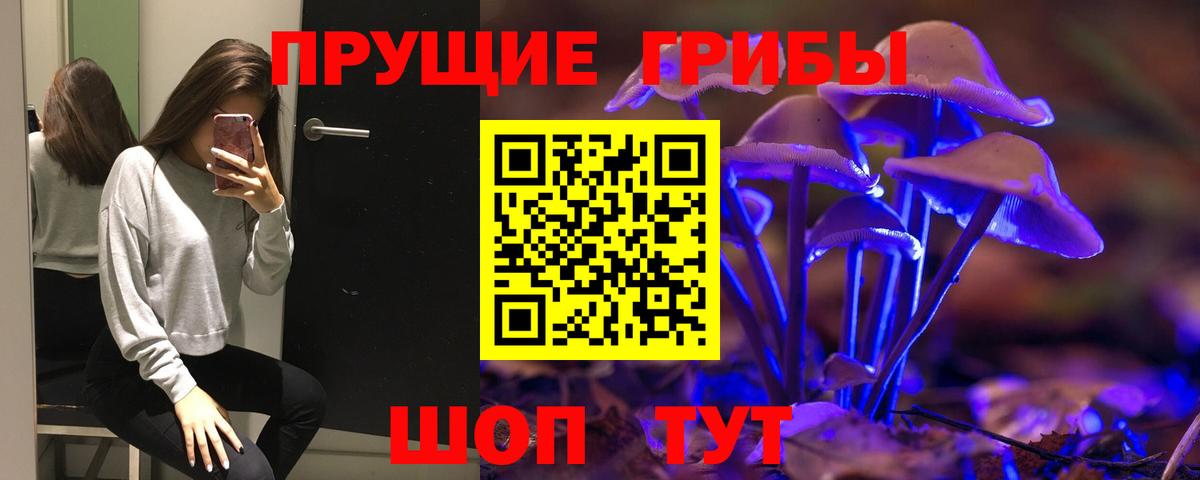 Галлюциногенные грибы MAGIC MUSHROOMS  Вход с VPN  Топки 